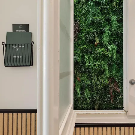 Group Dreams 시체스